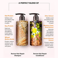 De Fabulous Reviver Hair Repair Shampoo & Conditioner (250ml)