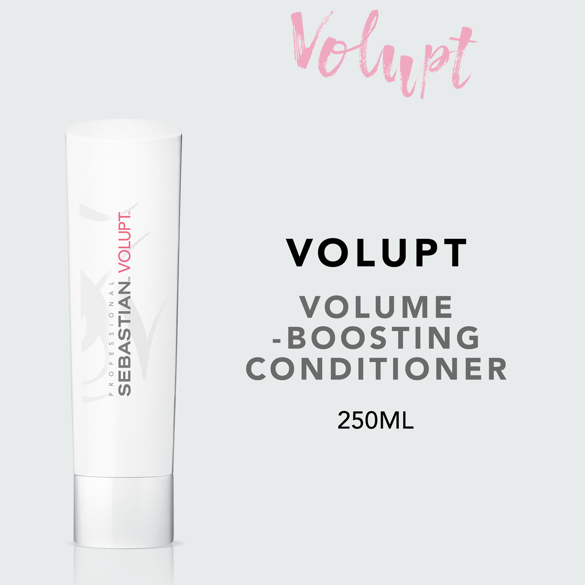 Sebastian Professional Volupt Conditioner (250ml)